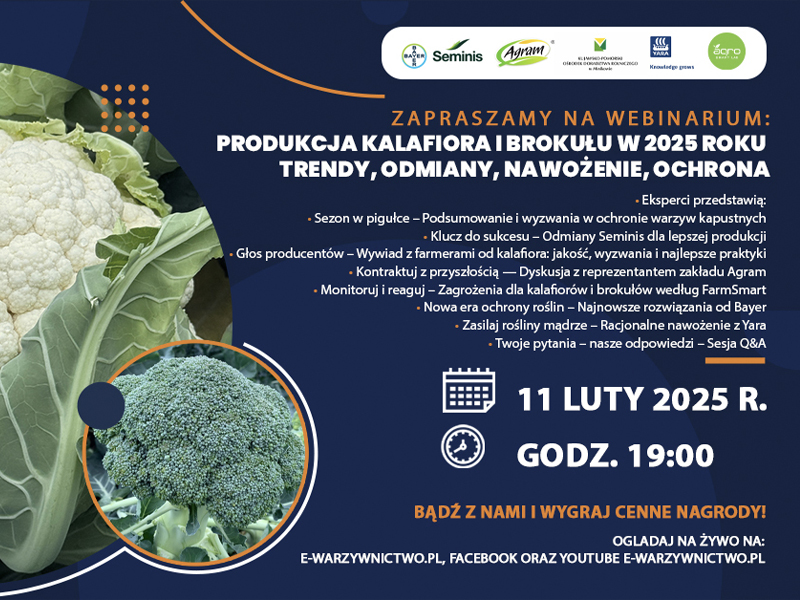 Zapraszamy na webinar Produkcja Kalafiora i Brokułu w 2025 r.  - 11.02 o godz. 19:00