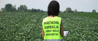 Wnioski o ocenę polową plantacji nasiennych w 2025 r.