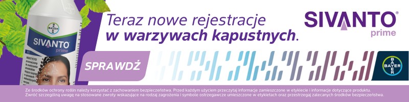 Grafika reklamowa nr 333